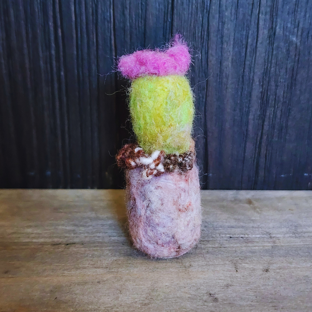 Handmade Wool Flowering Cactus Decor, No Thorns