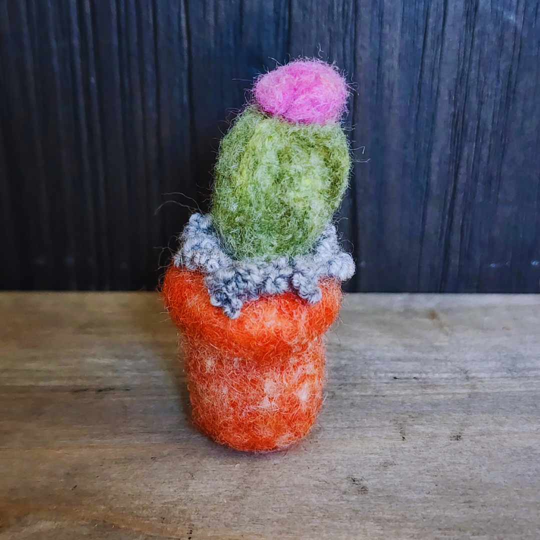 Handmade Wool Flowering Cactus Decor, No Thorns