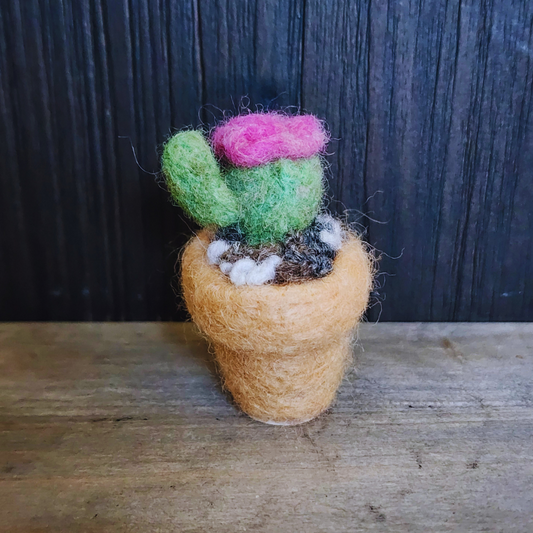 Handmade Wool Flowering Cactus Decor, No Thorns