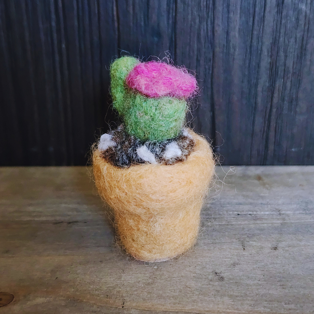 Handmade Wool Flowering Cactus Decor, No Thorns