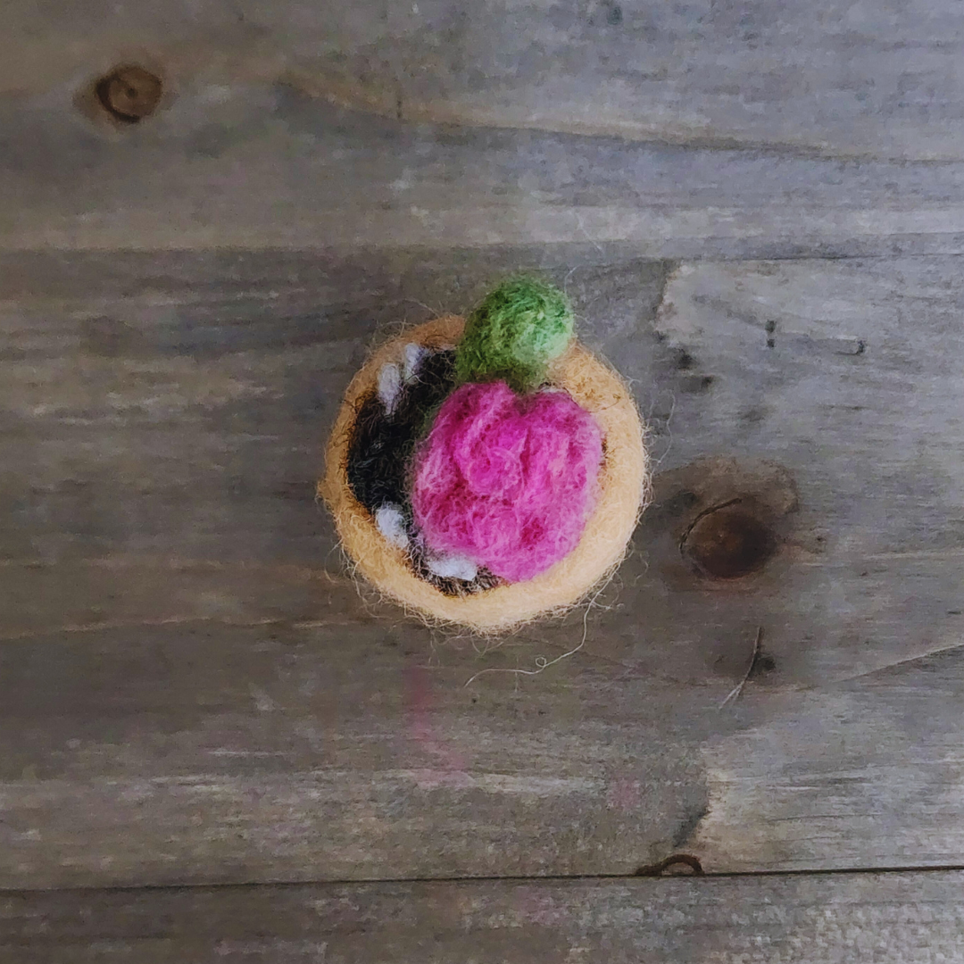 Handmade Wool Flowering Cactus Decor, No Thorns