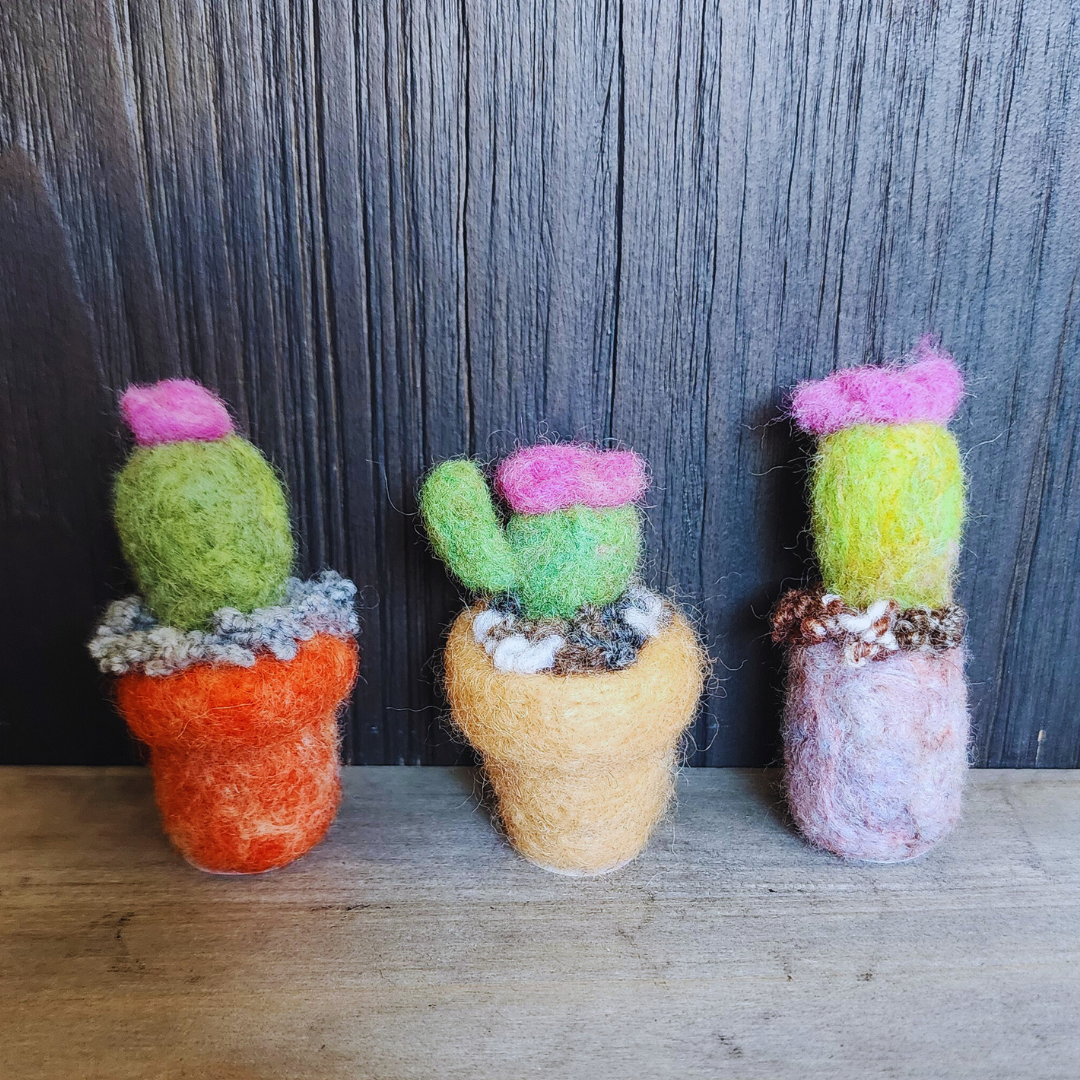 Handmade Wool Flowering Cactus Decor, No Thorns