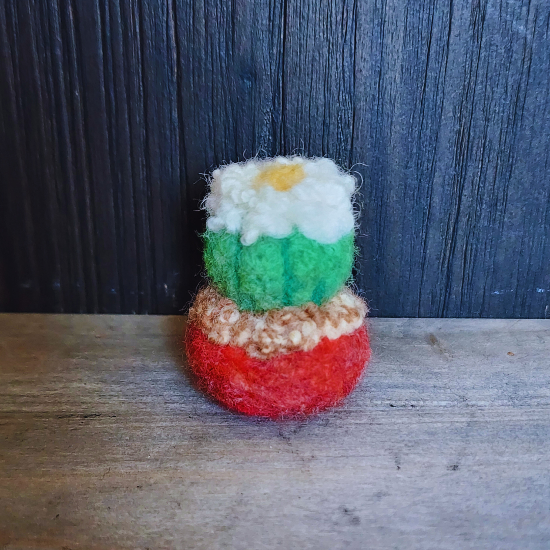 Handmade Wool Flowering Cactus Decor, No Thorns