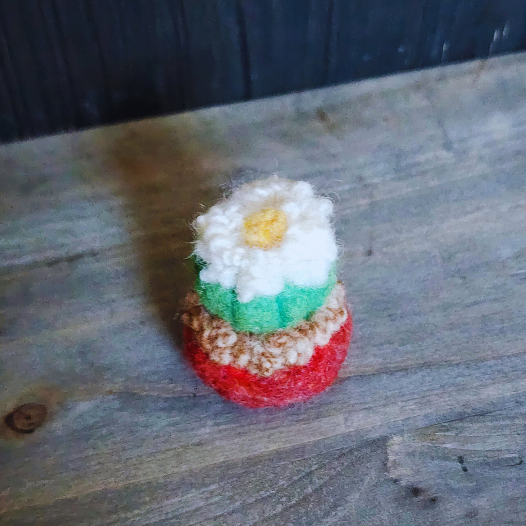 Handmade Wool Flowering Cactus Decor, No Thorns