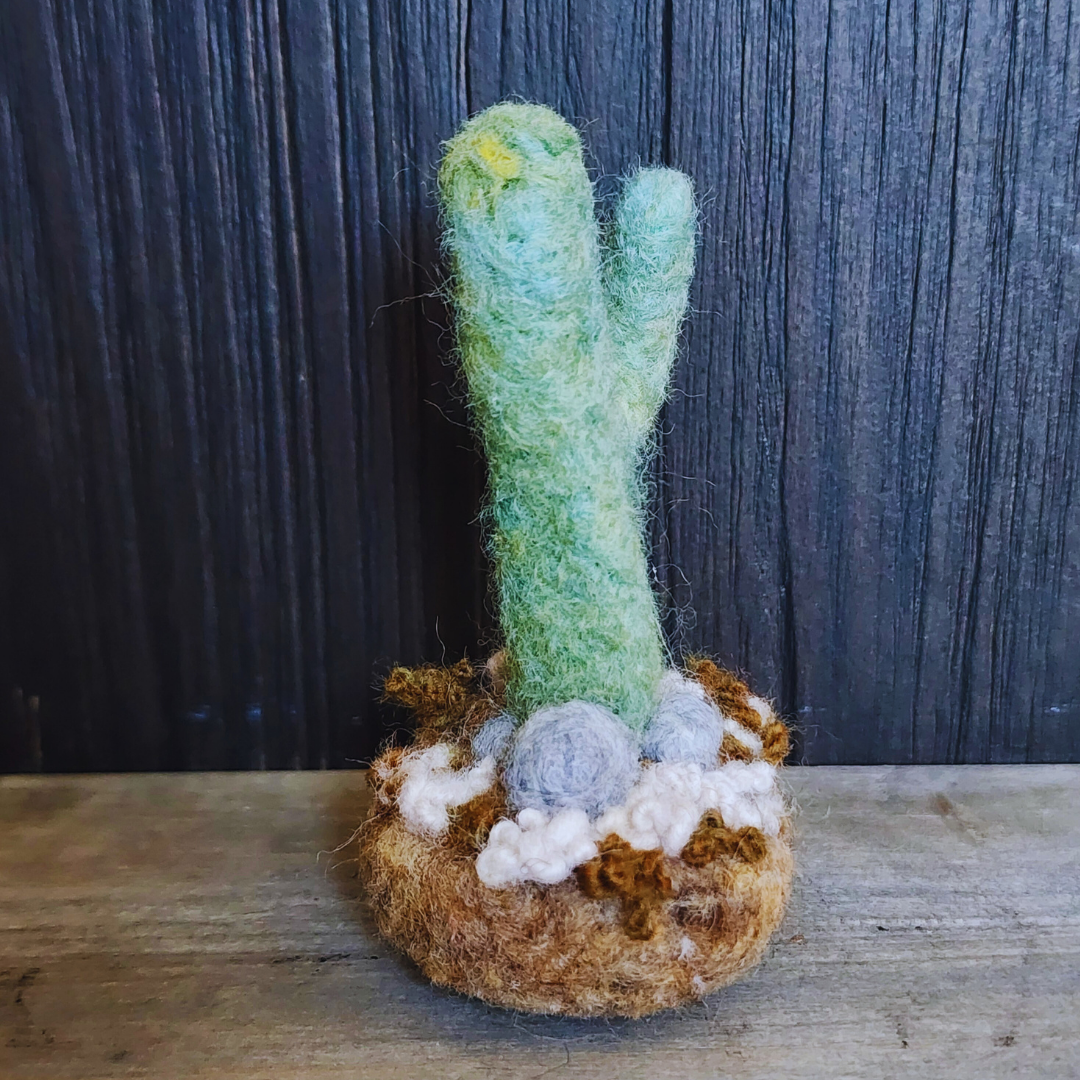 Handmade Wool Felted Mini Saguaro Cactus with Arms