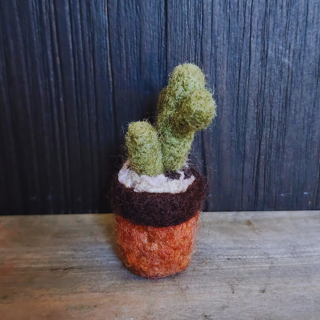 Handmade Wool Felted Mini Saguaro Cactus with Arms