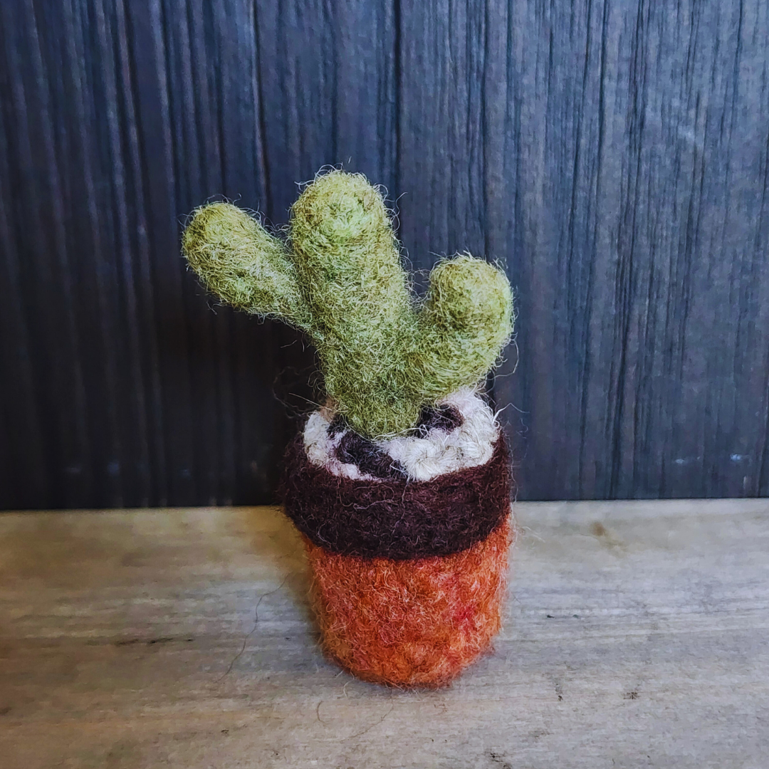 Handmade Wool Felted Mini Saguaro Cactus with Arms