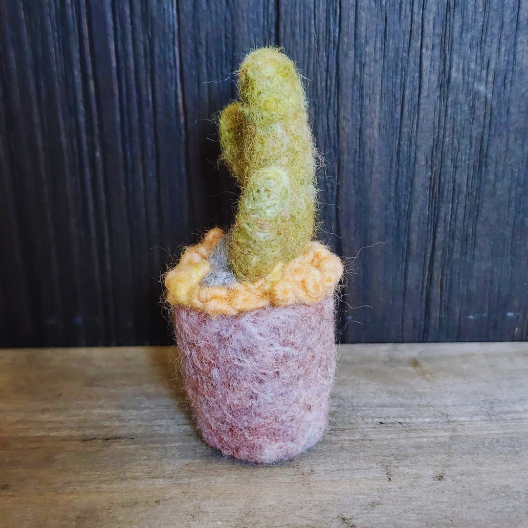 Handmade Wool Felted Mini Saguaro Cactus with Arms