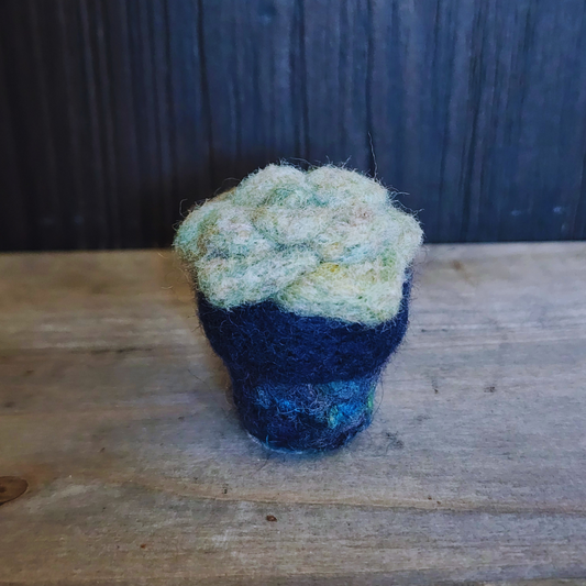 Handmade Wool Felted Mini Moonstone Succulent, No Water