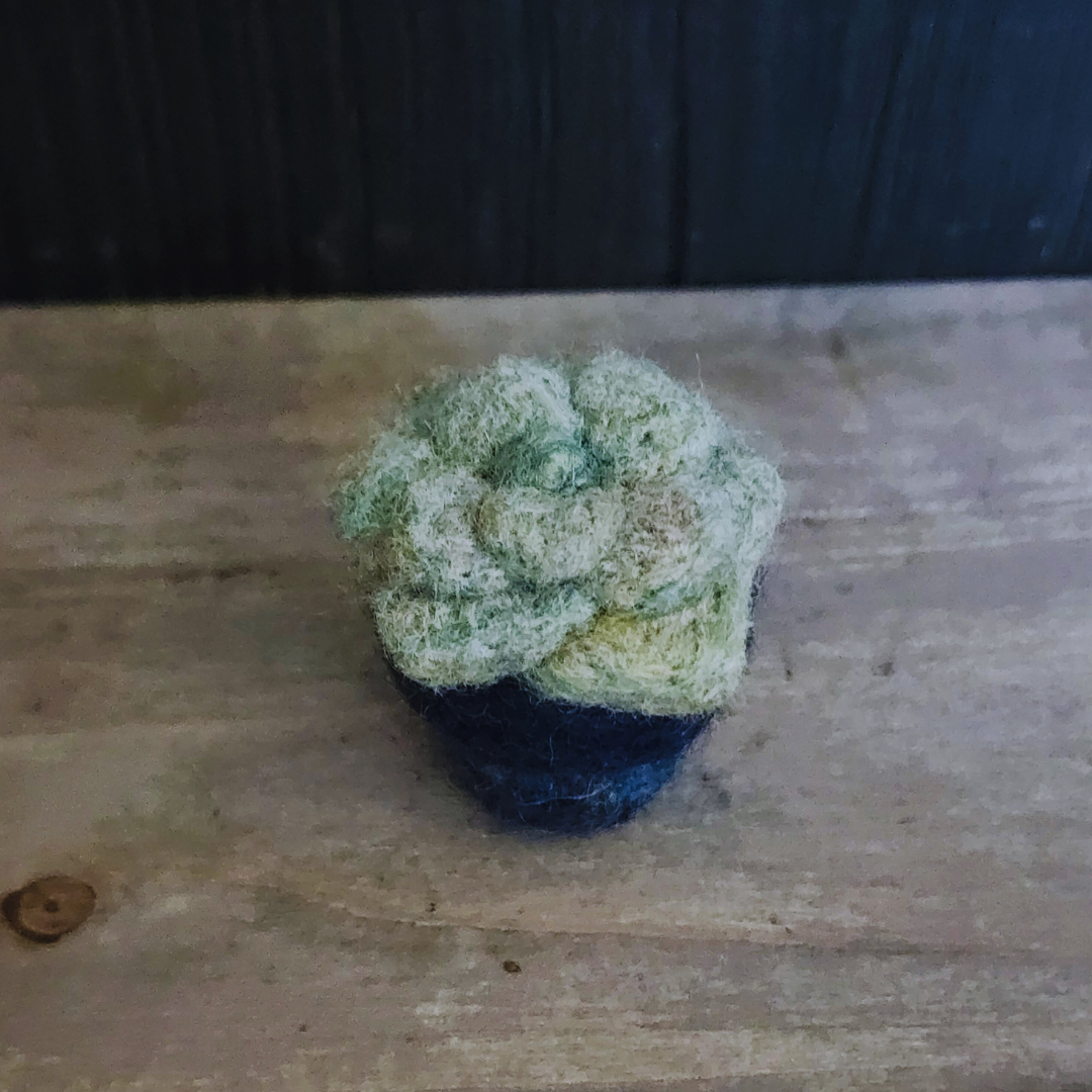 Handmade Wool Felted Mini Moonstone Succulent, No Water