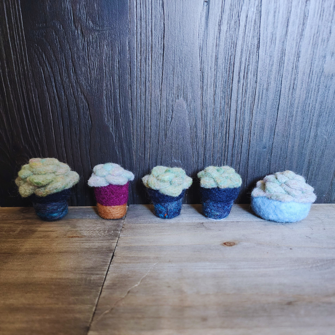 Handmade Wool Felted Mini Moonstone Succulent, No Water