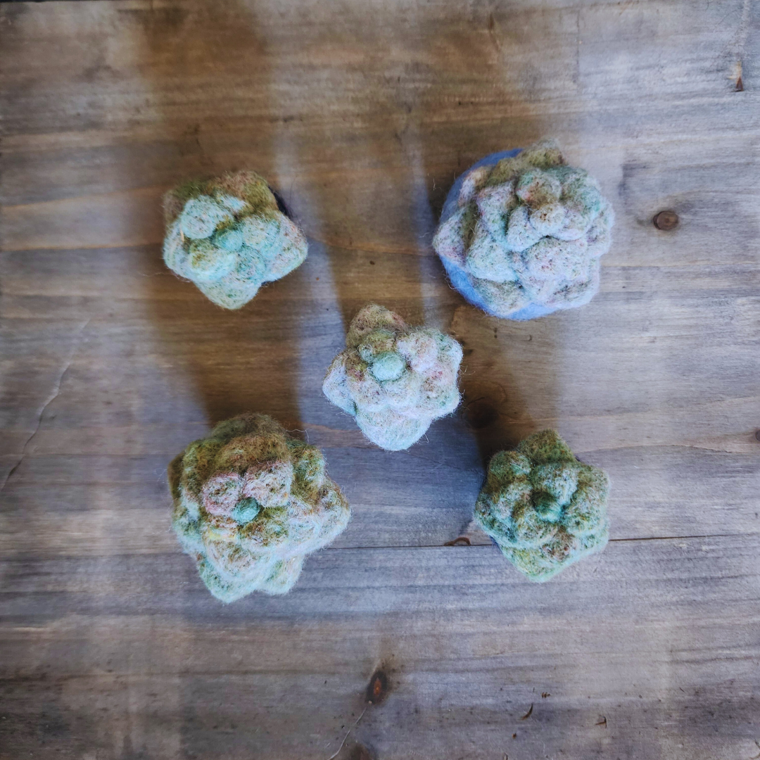 Handmade Wool Felted Mini Moonstone Succulent, No Water