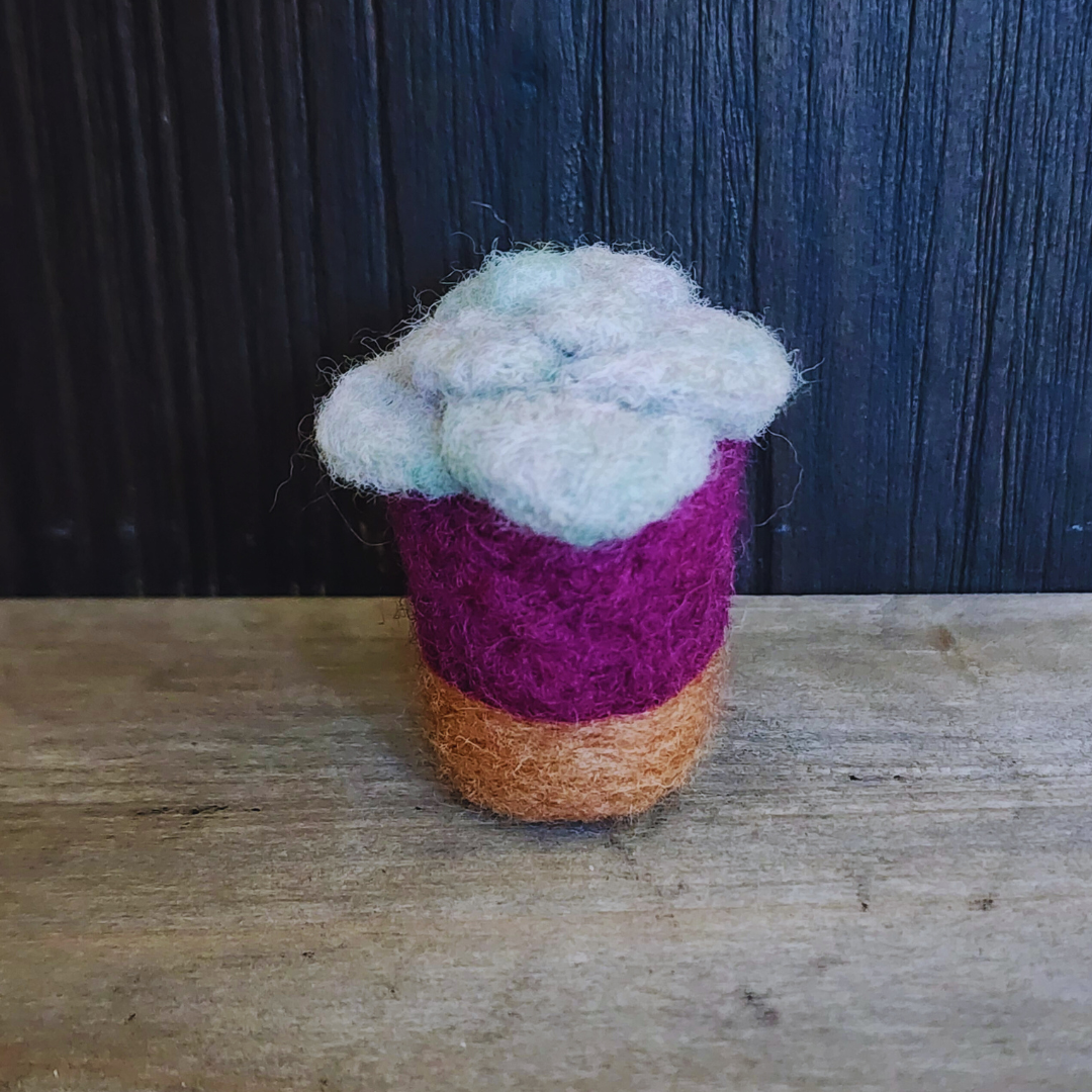 Handmade Wool Felted Mini Moonstone Succulent, No Water