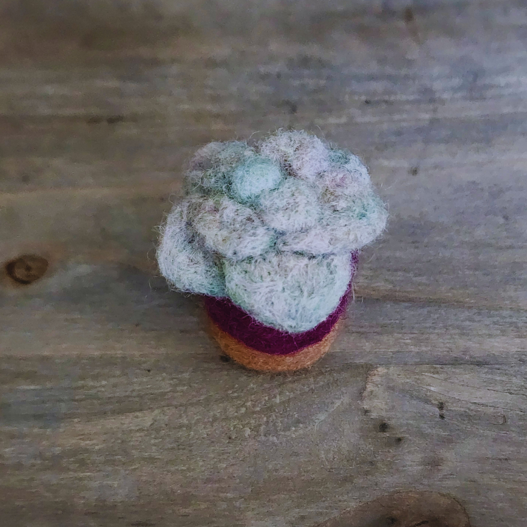 Handmade Wool Felted Mini Moonstone Succulent, No Water