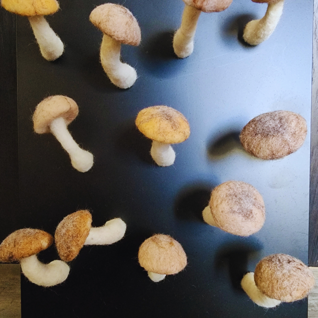 A collection of handmade felted brown mushroom magnets in various earthy shades and sizes, attached to a black magnetic surface against a wooden floor.