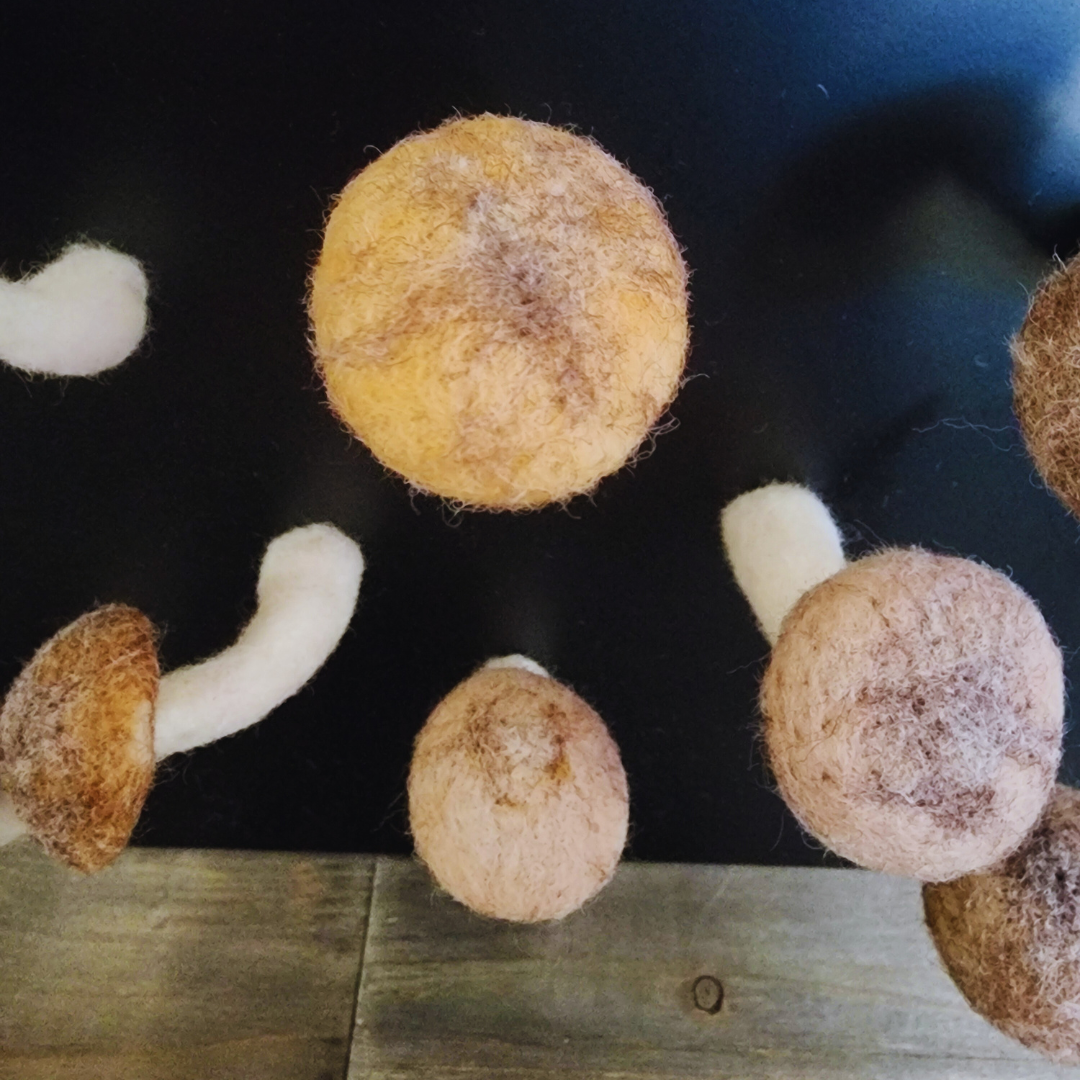 A close-up top-down view of several handmade felted brown mushroom magnets with white stems, showing the varied colors and textures of their caps on a black magnetic surface.
