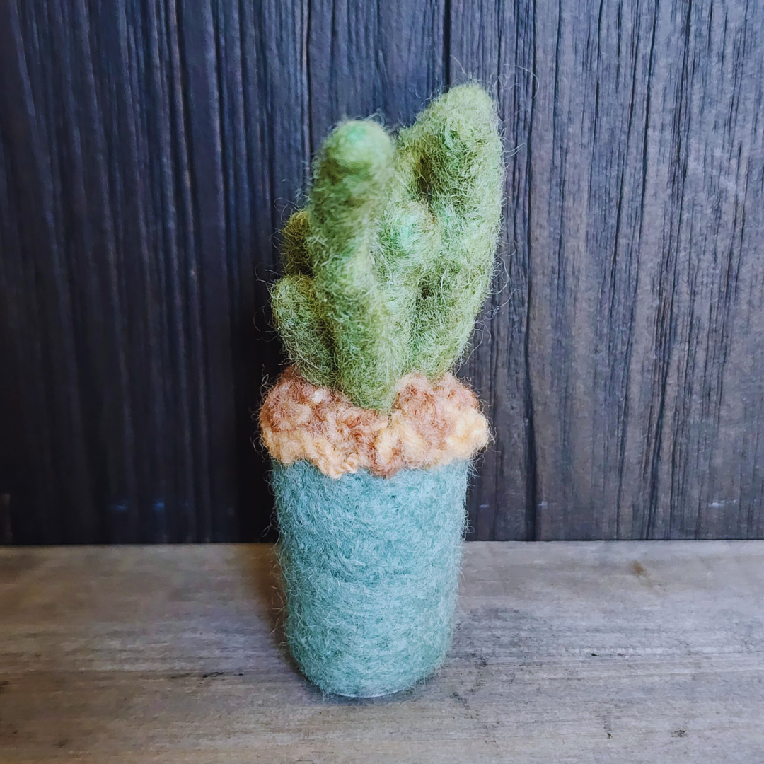 Handmade Wool Felted Mini Organ Pipe Cactus, No Thorns