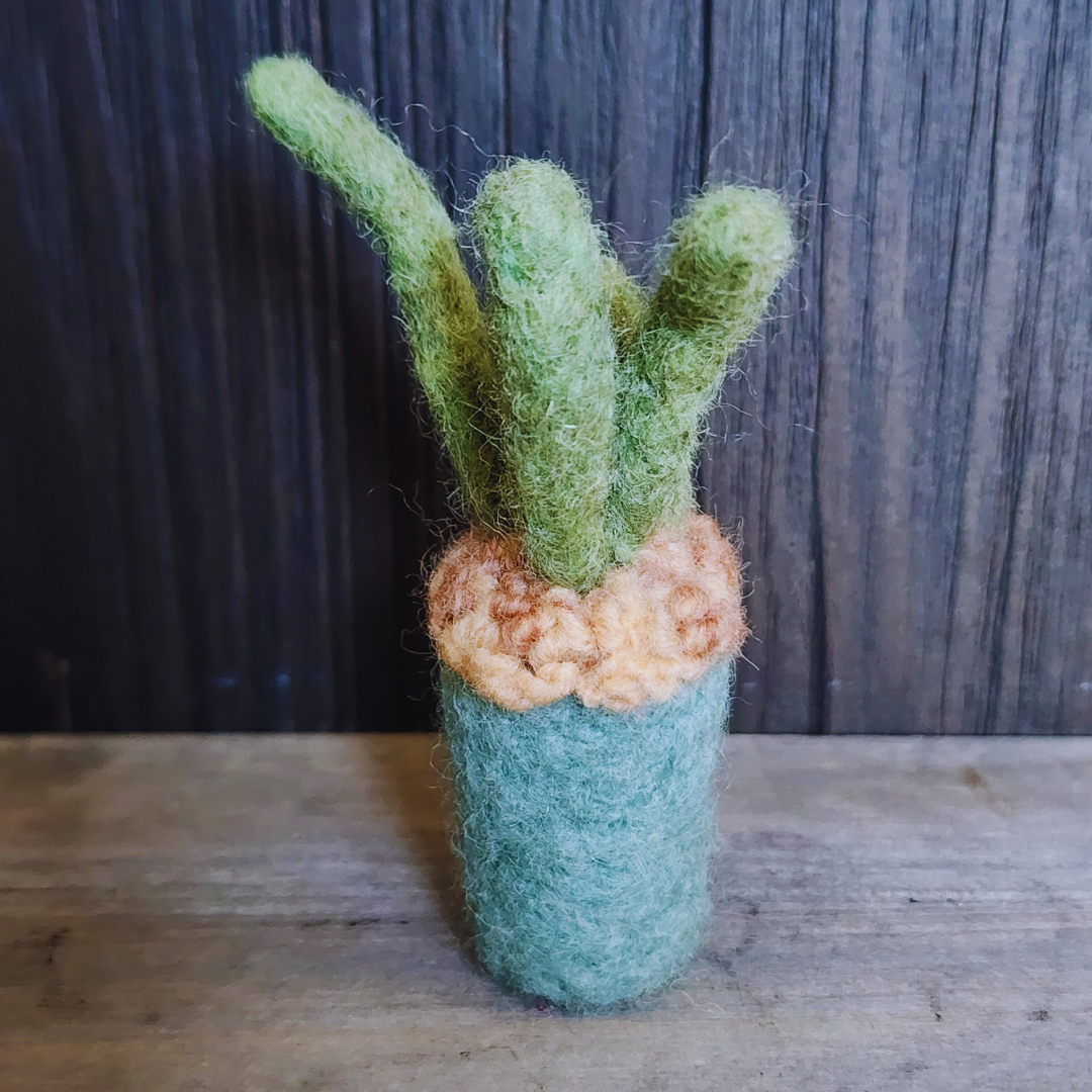 Handmade Wool Felted Mini Organ Pipe Cactus, No Thorns