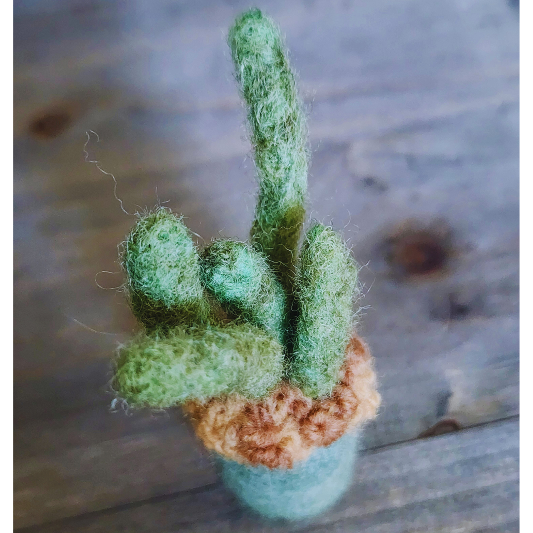 Handmade Wool Felted Mini Organ Pipe Cactus, No Thorns