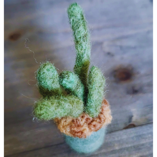 Handmade Wool Felted Mini Organ Pipe Cactus, No Thorns