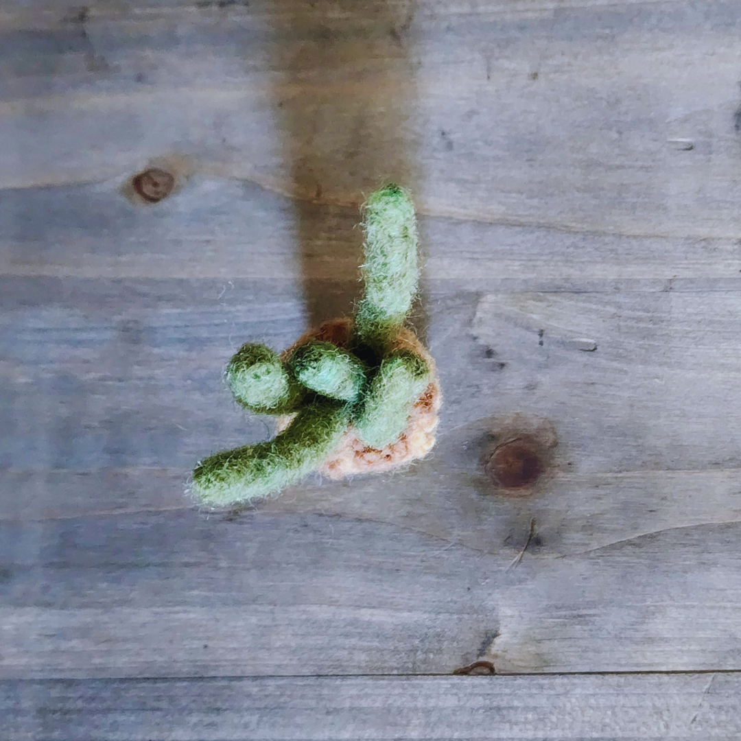 Handmade Wool Felted Mini Organ Pipe Cactus, No Thorns