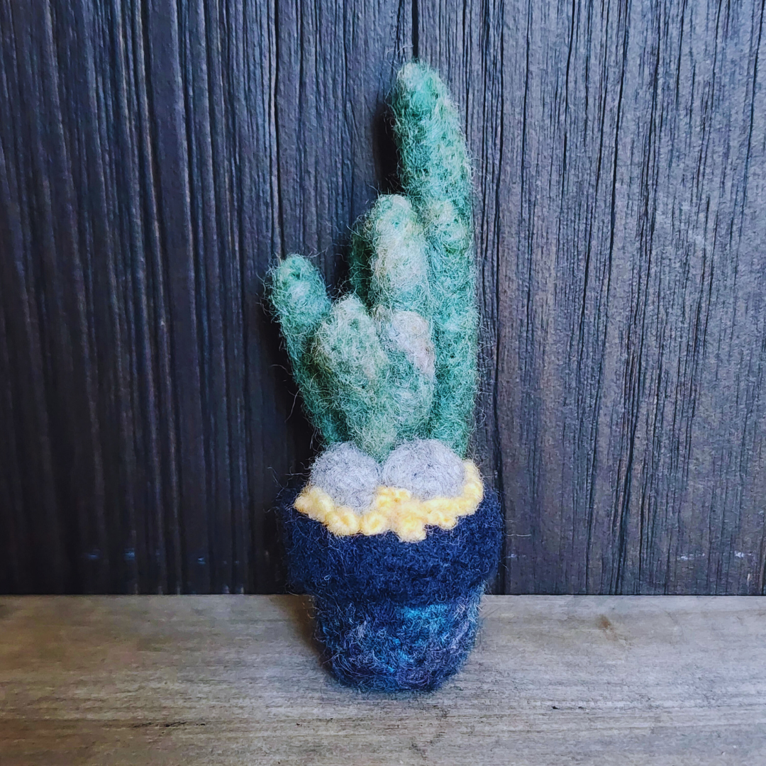 Handmade Wool Felted Mini Organ Pipe Cactus, No Thorns