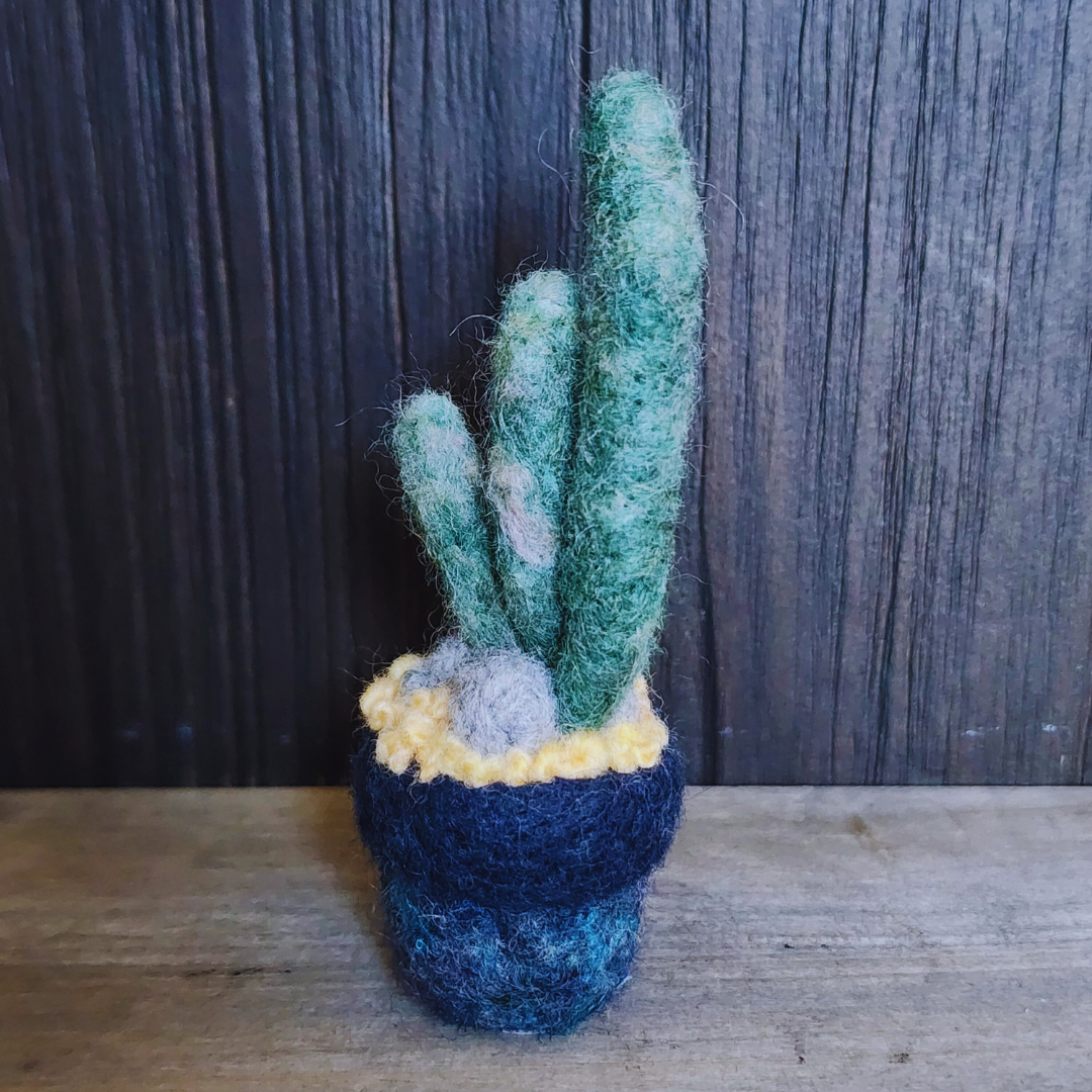 Handmade Wool Felted Mini Organ Pipe Cactus, No Thorns