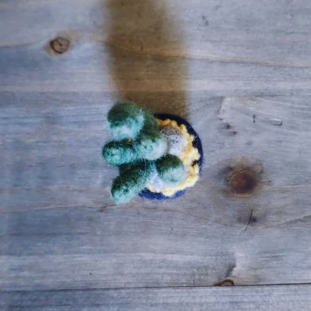 Handmade Wool Felted Mini Organ Pipe Cactus, No Thorns
