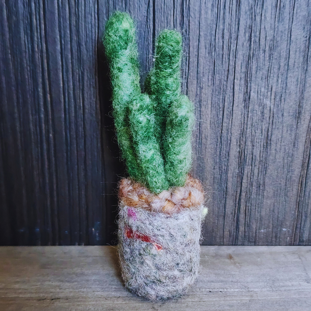 Handmade Wool Felted Mini Organ Pipe Cactus, No Thorns