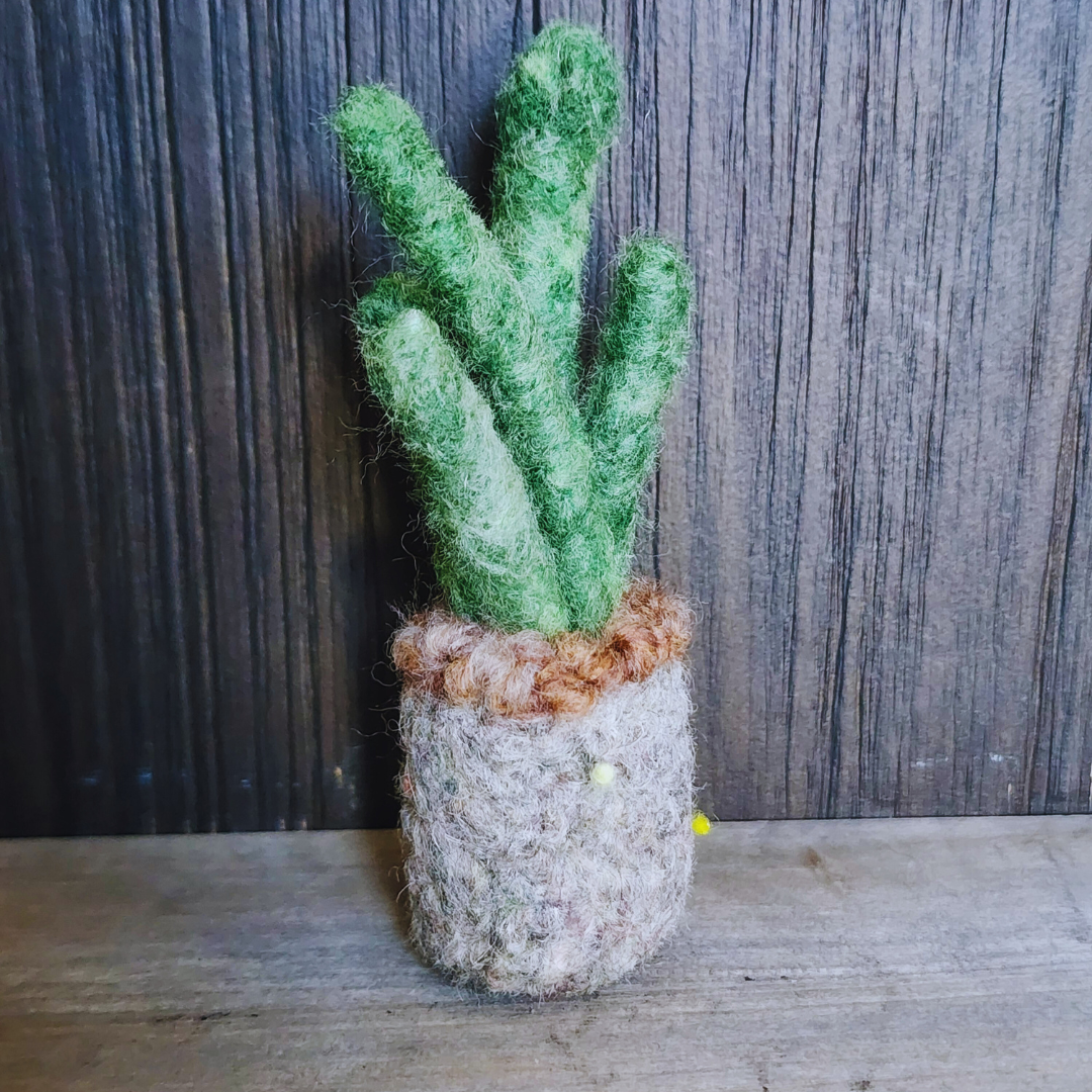 Handmade Wool Felted Mini Organ Pipe Cactus, No Thorns