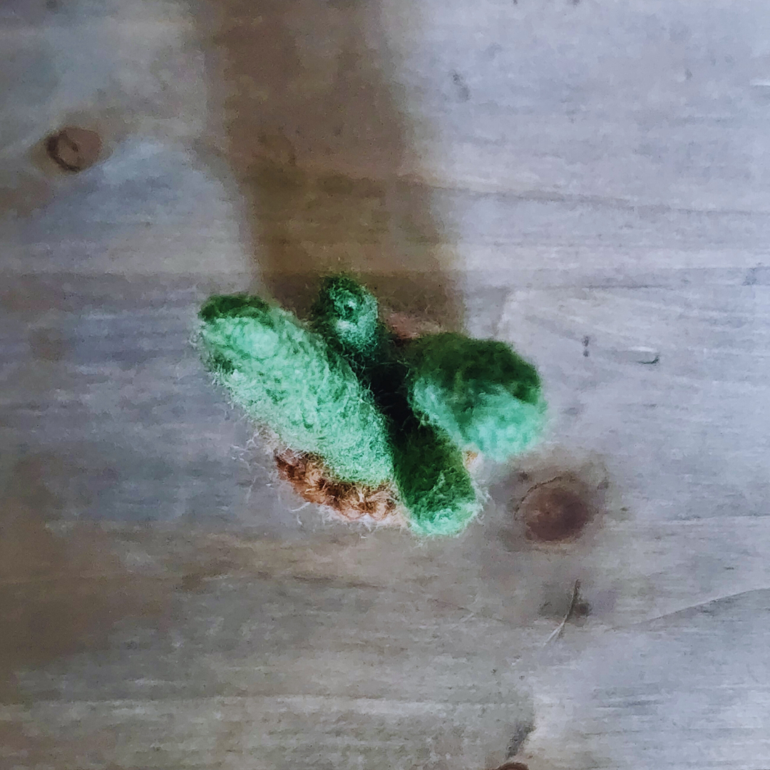 Handmade Wool Felted Mini Organ Pipe Cactus, No Thorns