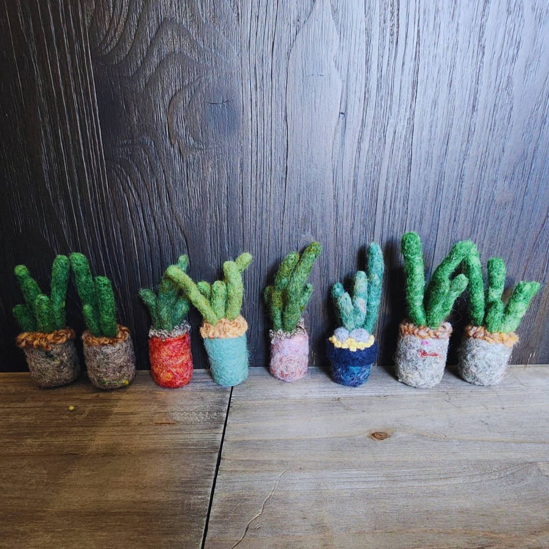 Handmade Wool Felted Mini Organ Pipe Cactus, No Thorns