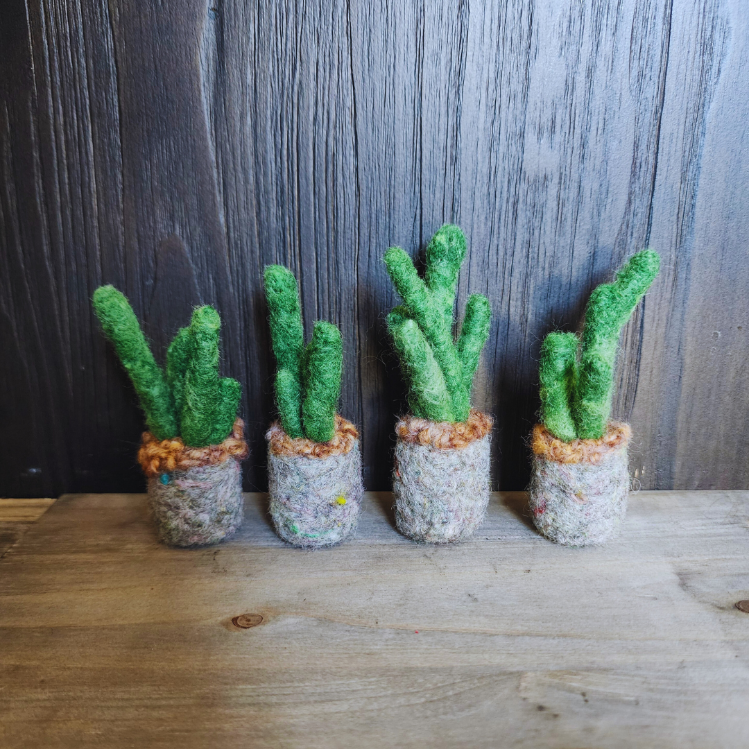 Handmade Wool Felted Mini Organ Pipe Cactus, No Thorns
