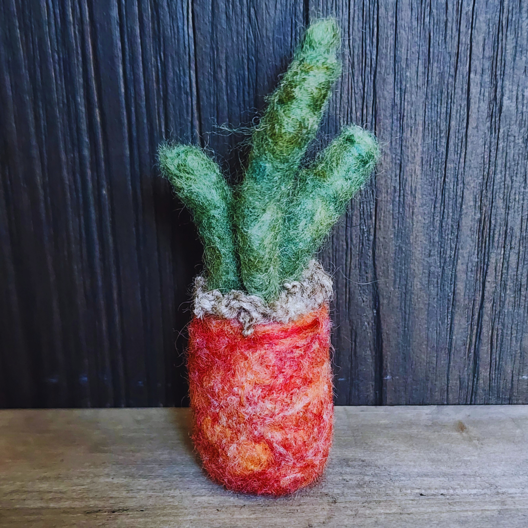 Handmade Wool Felted Mini Organ Pipe Cactus, No Thorns