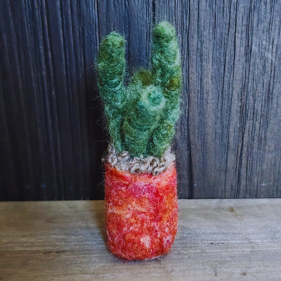 Handmade Wool Felted Mini Organ Pipe Cactus, No Thorns