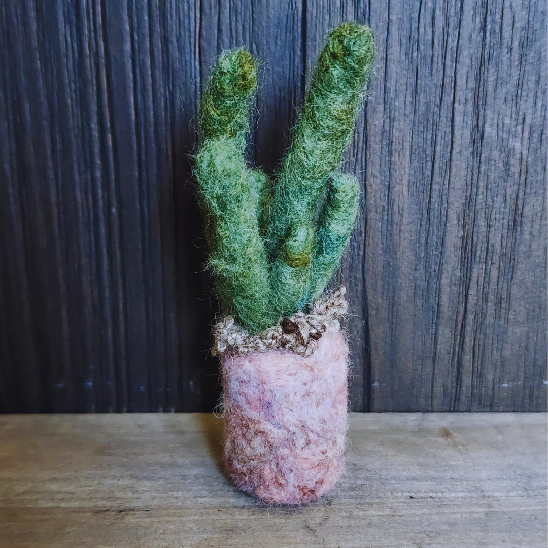 Handmade Wool Felted Mini Organ Pipe Cactus, No Thorns