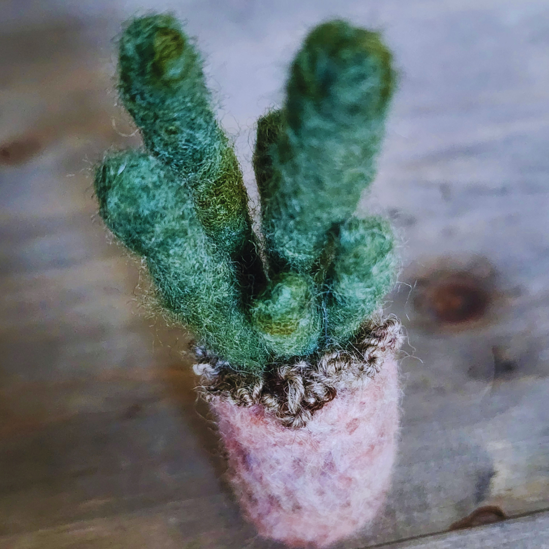 Handmade Wool Felted Mini Organ Pipe Cactus, No Thorns
