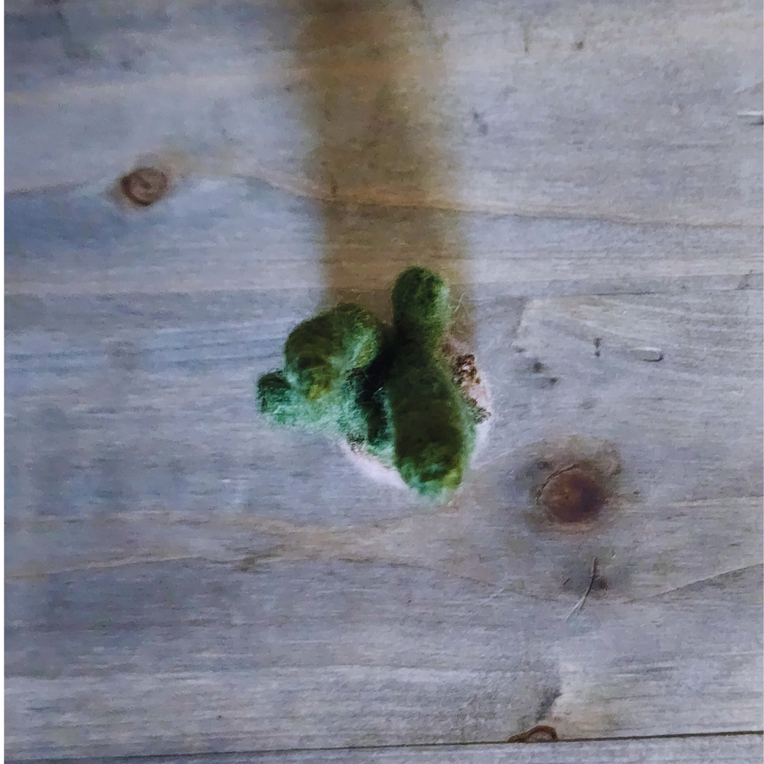 Handmade Wool Felted Mini Organ Pipe Cactus, No Thorns