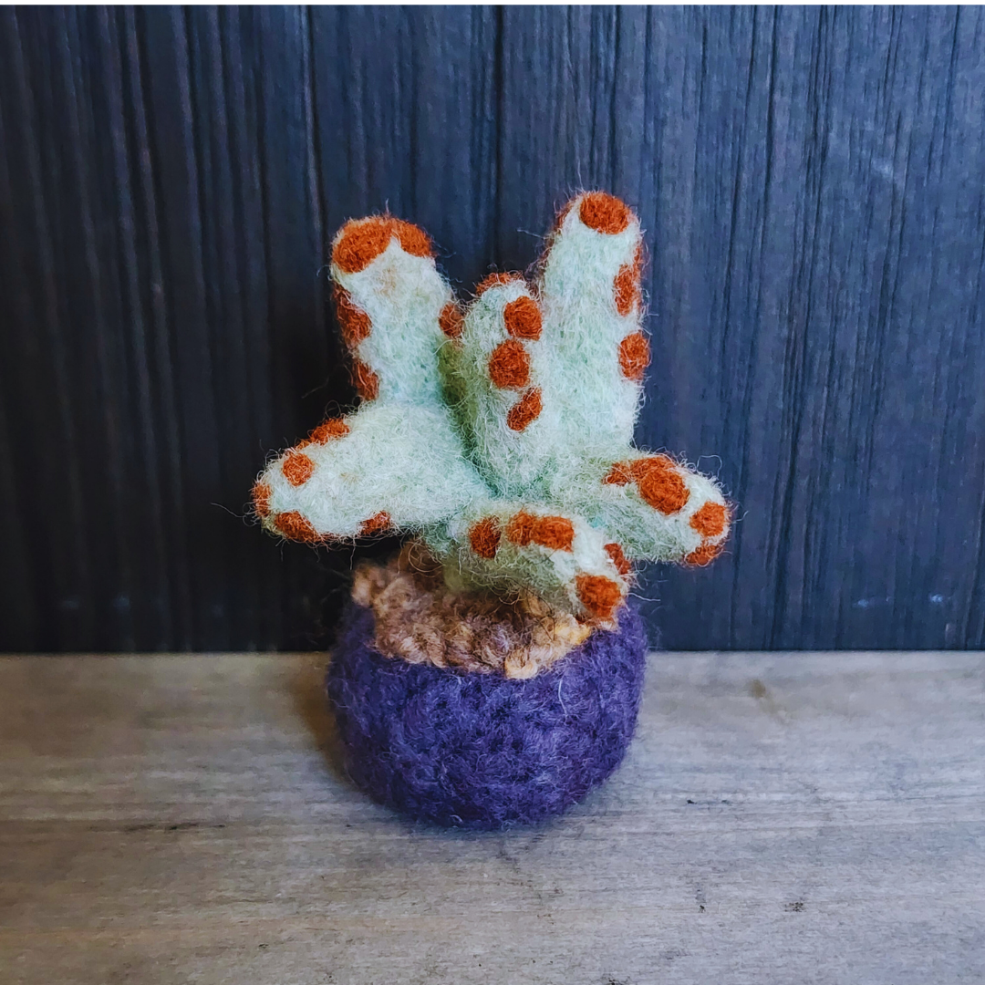 Handmade Wool Felted Mini Panda Plant, No Water
