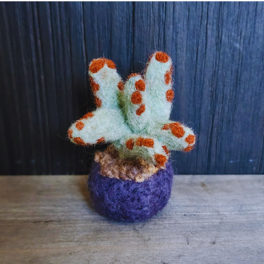 Handmade Wool Felted Mini Panda Plant, No Water