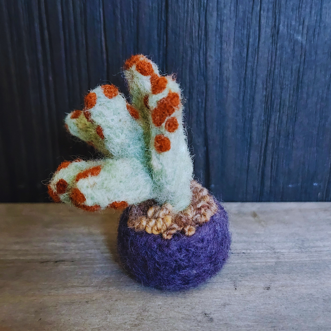 Handmade Wool Felted Mini Panda Plant, No Water