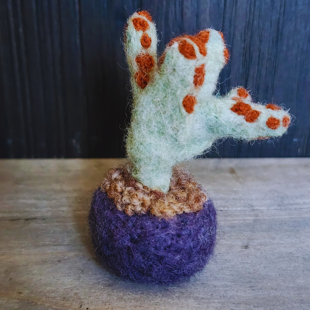 Handmade Wool Felted Mini Panda Plant, No Water