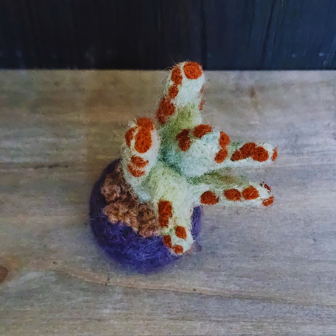 Handmade Wool Felted Mini Panda Plant, No Water