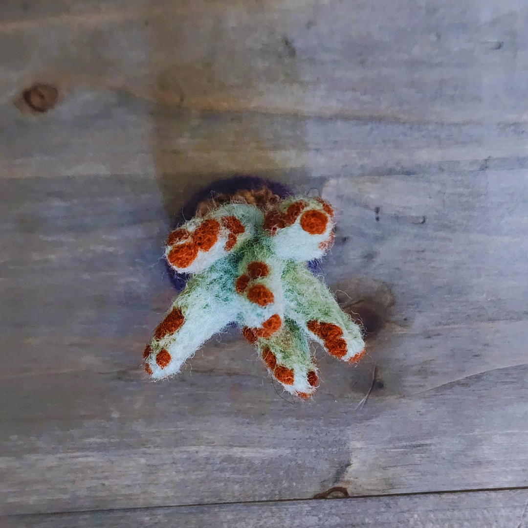 Handmade Wool Felted Mini Panda Plant, No Water