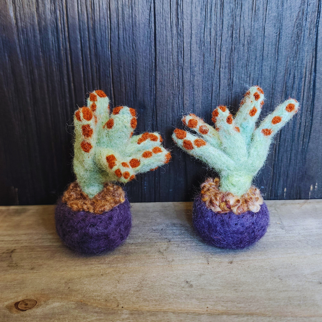 Handmade Wool Felted Mini Panda Plant, No Water