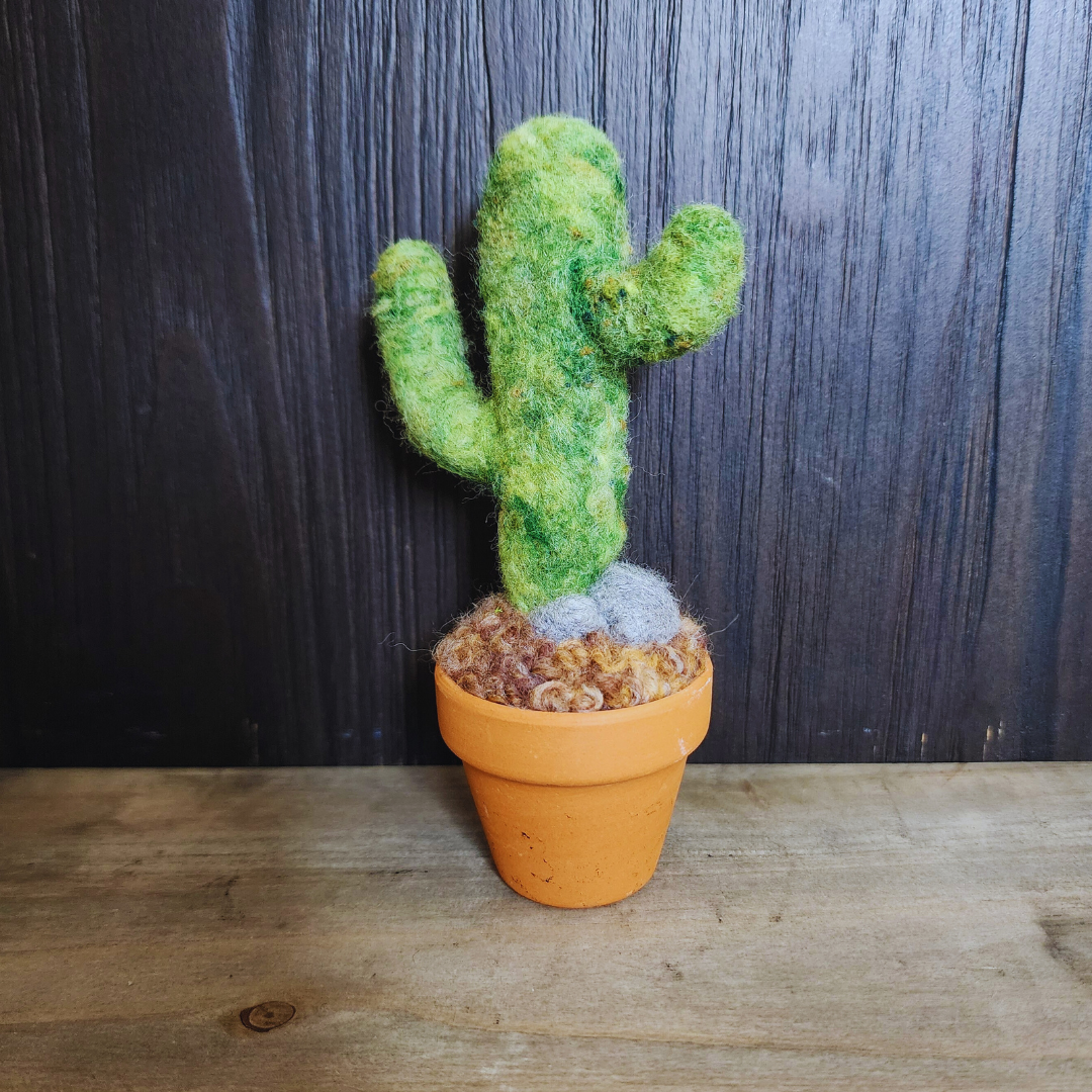 Handmade Potted Wool Saguaro Cactus with Arms