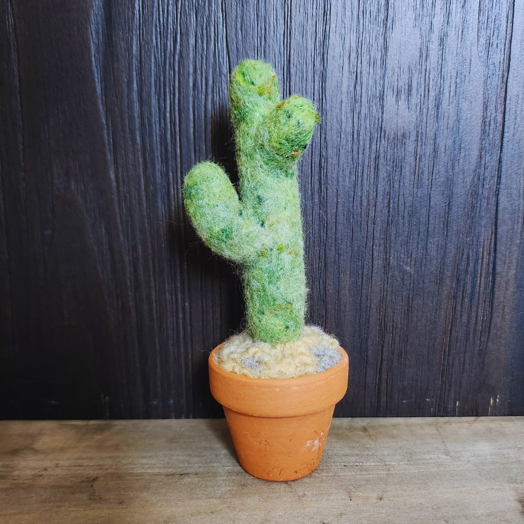 Handmade Potted Wool Saguaro Cactus with Arms