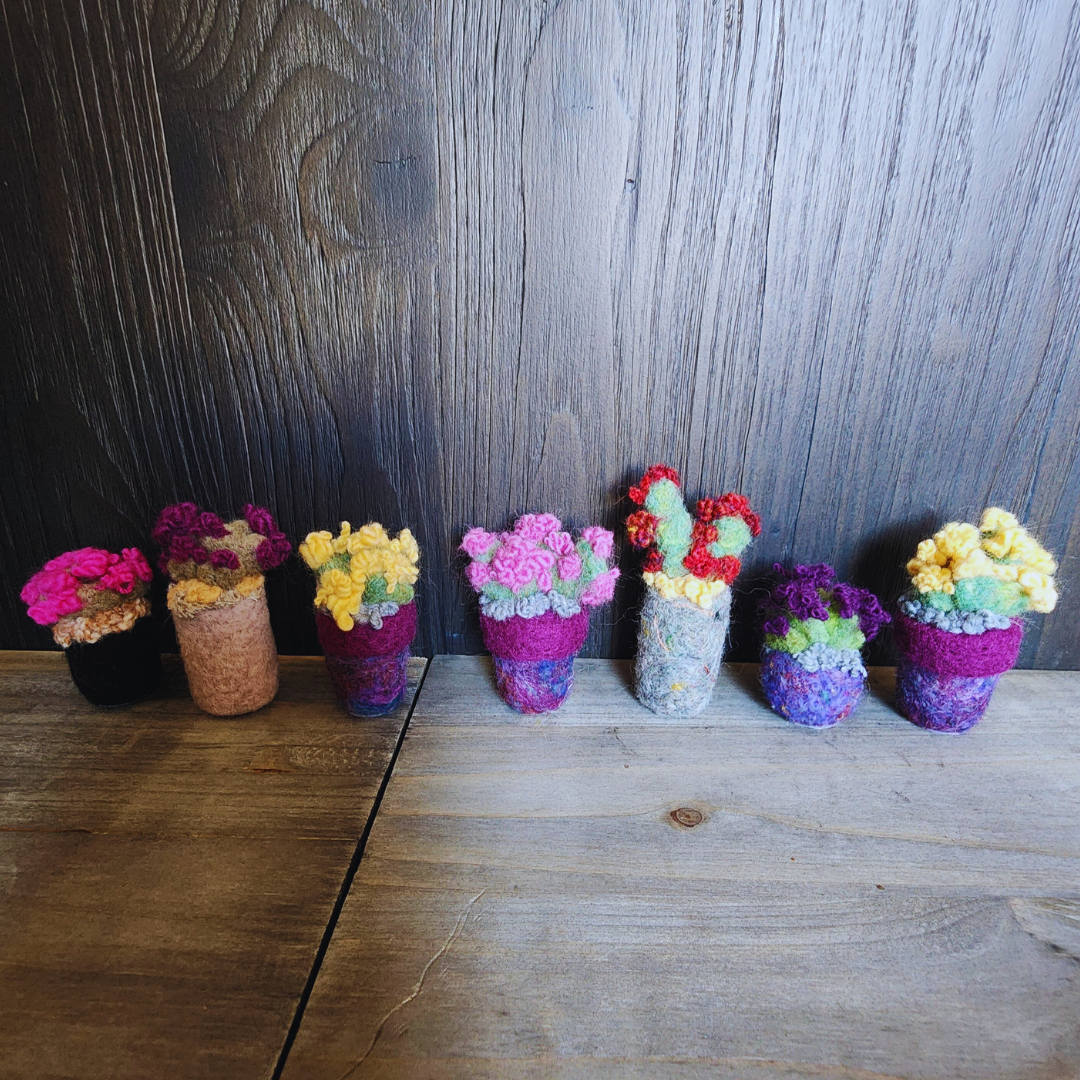 Handmade Wool Flowering Prickly Pear Cactus, No Thorns