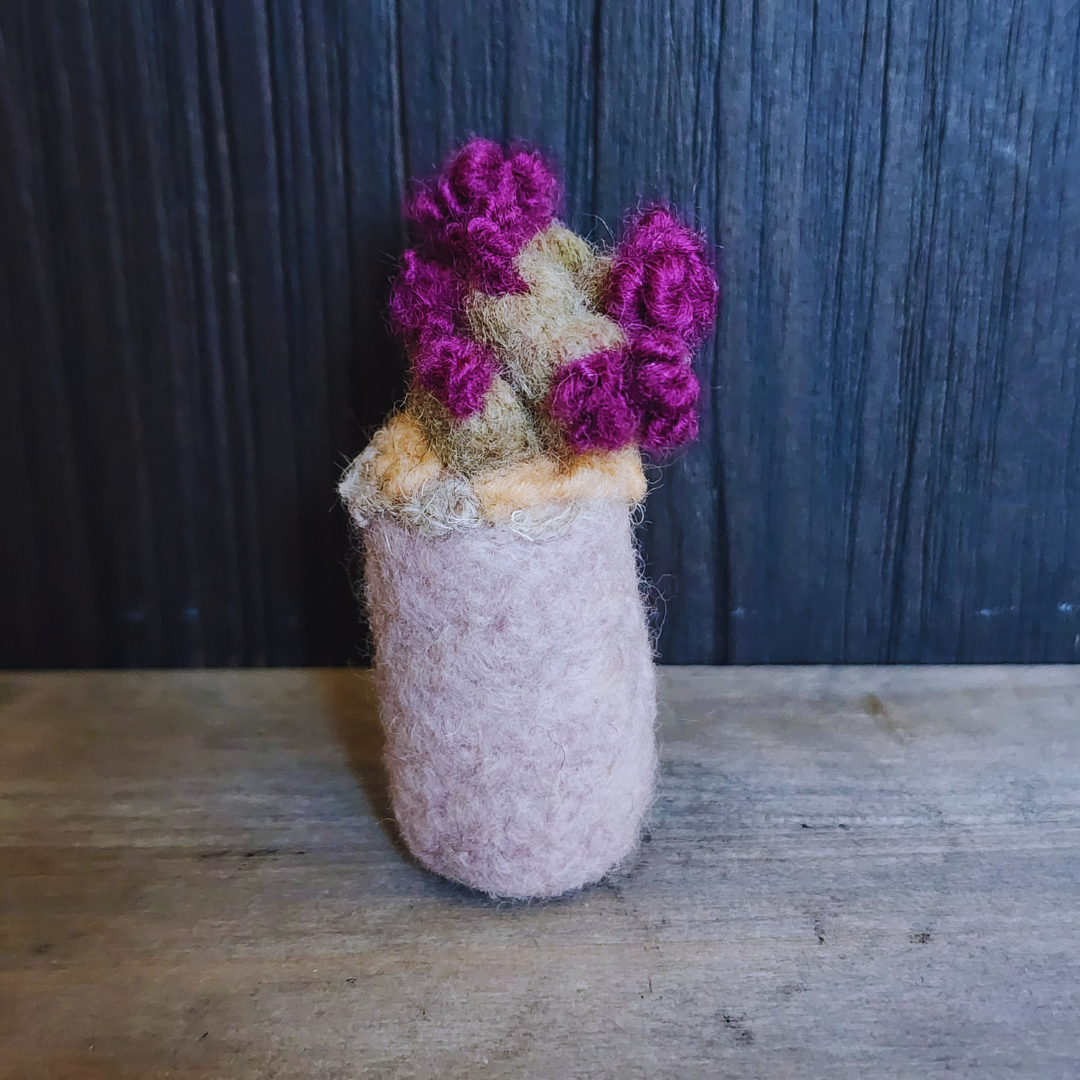 Handmade Wool Flowering Prickly Pear Cactus, No Thorns