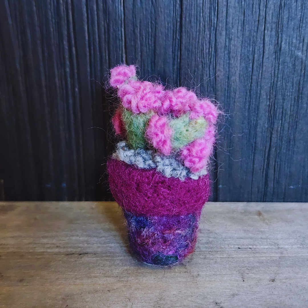 Handmade Wool Flowering Prickly Pear Cactus, No Thorns